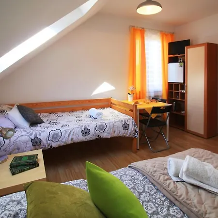 Bieszczadzki Brat Apartamenty Polanczyk Exterior photo