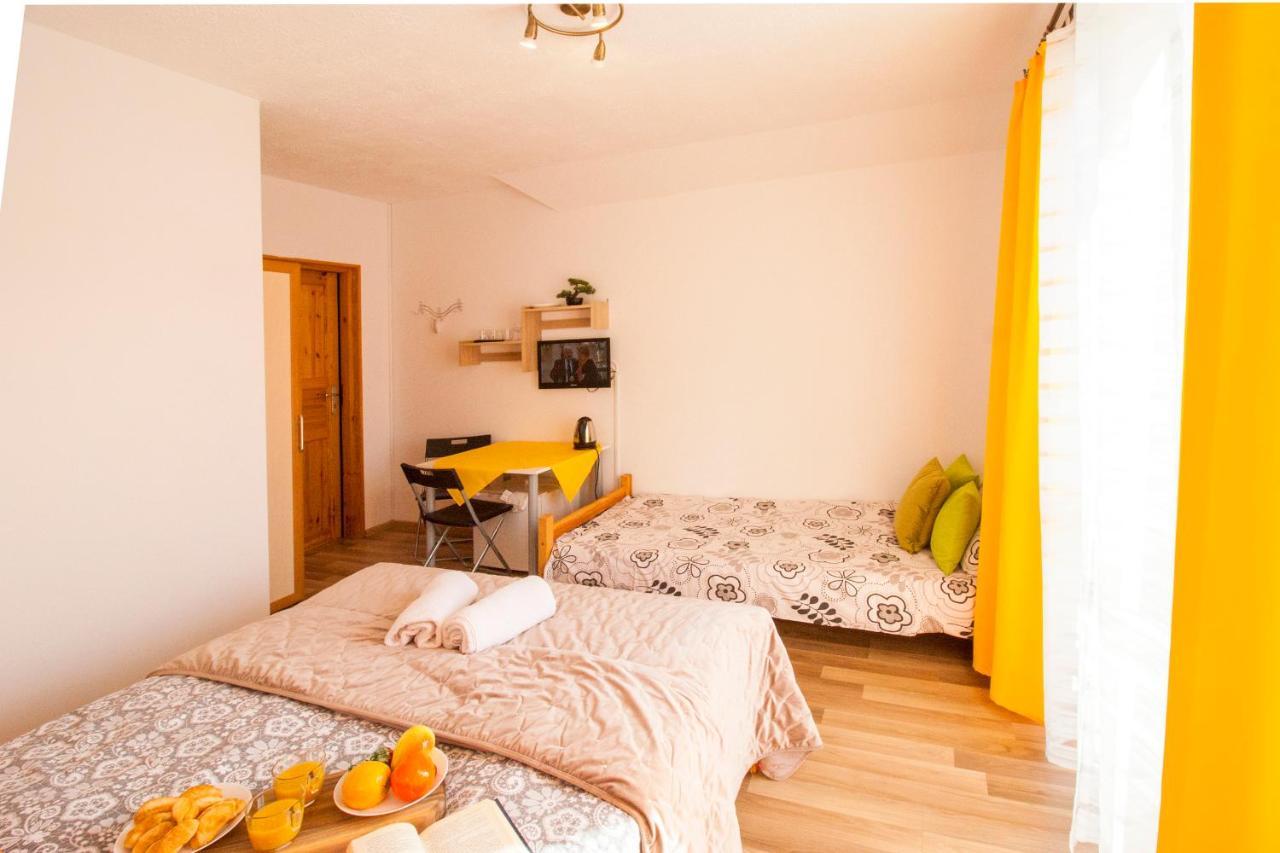 Bieszczadzki Brat Apartamenty